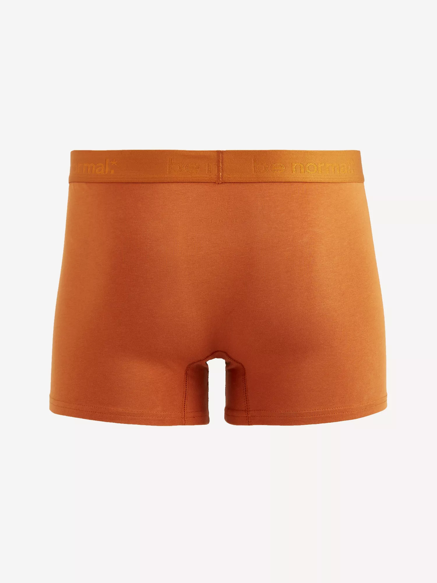 Bavlněné boxerky Binormal (2) Bavlněné boxerky Binormal (2)