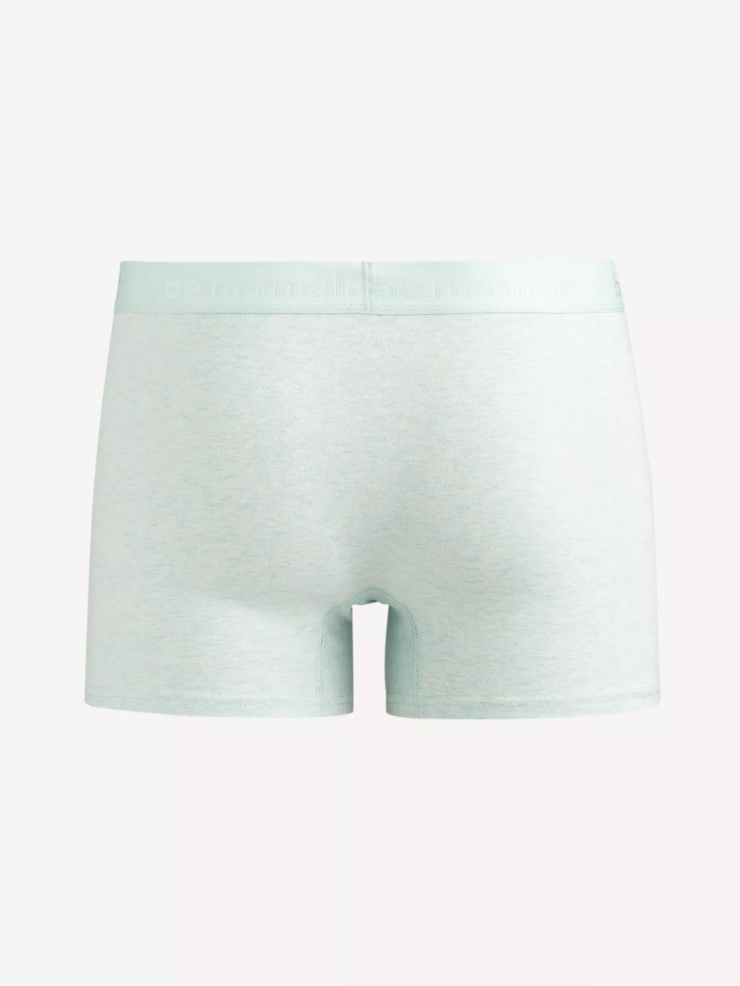 Bavlněné boxerky Binormal (2) Bavlněné boxerky Binormal (2)