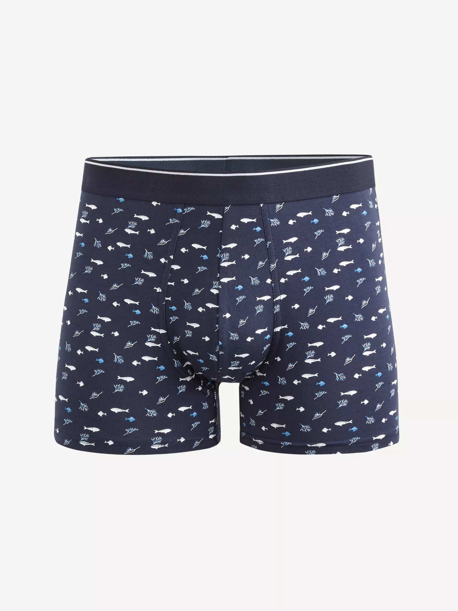 Boxerky Vivipare (1) Boxerky Vivipare (1)