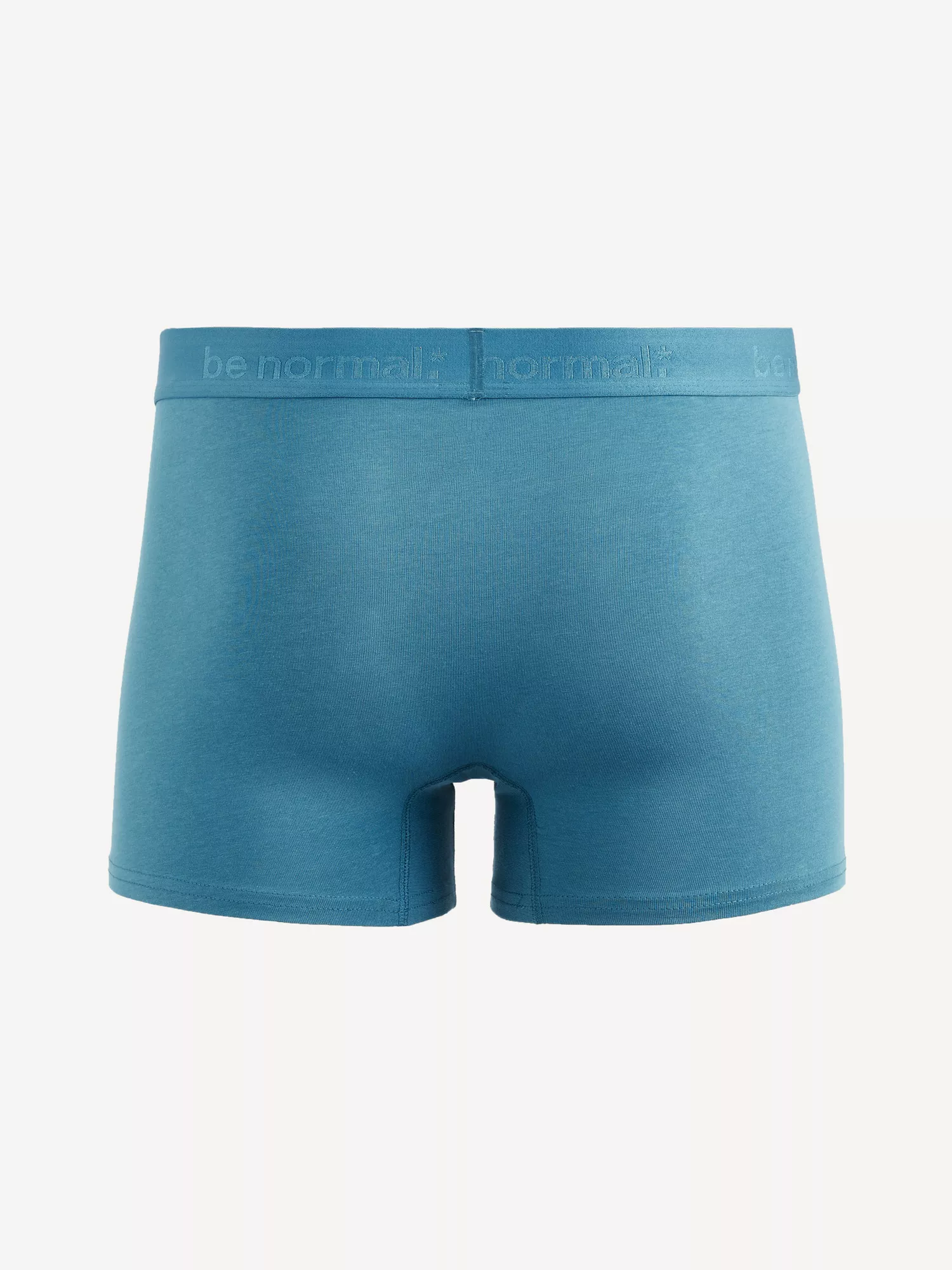 Bavlněné boxerky Binormal (2) Bavlněné boxerky Binormal (2)