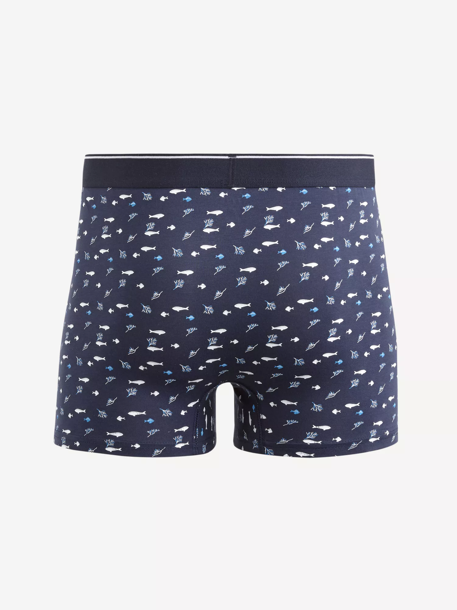 Boxerky Vivipare (2) Boxerky Vivipare (2)