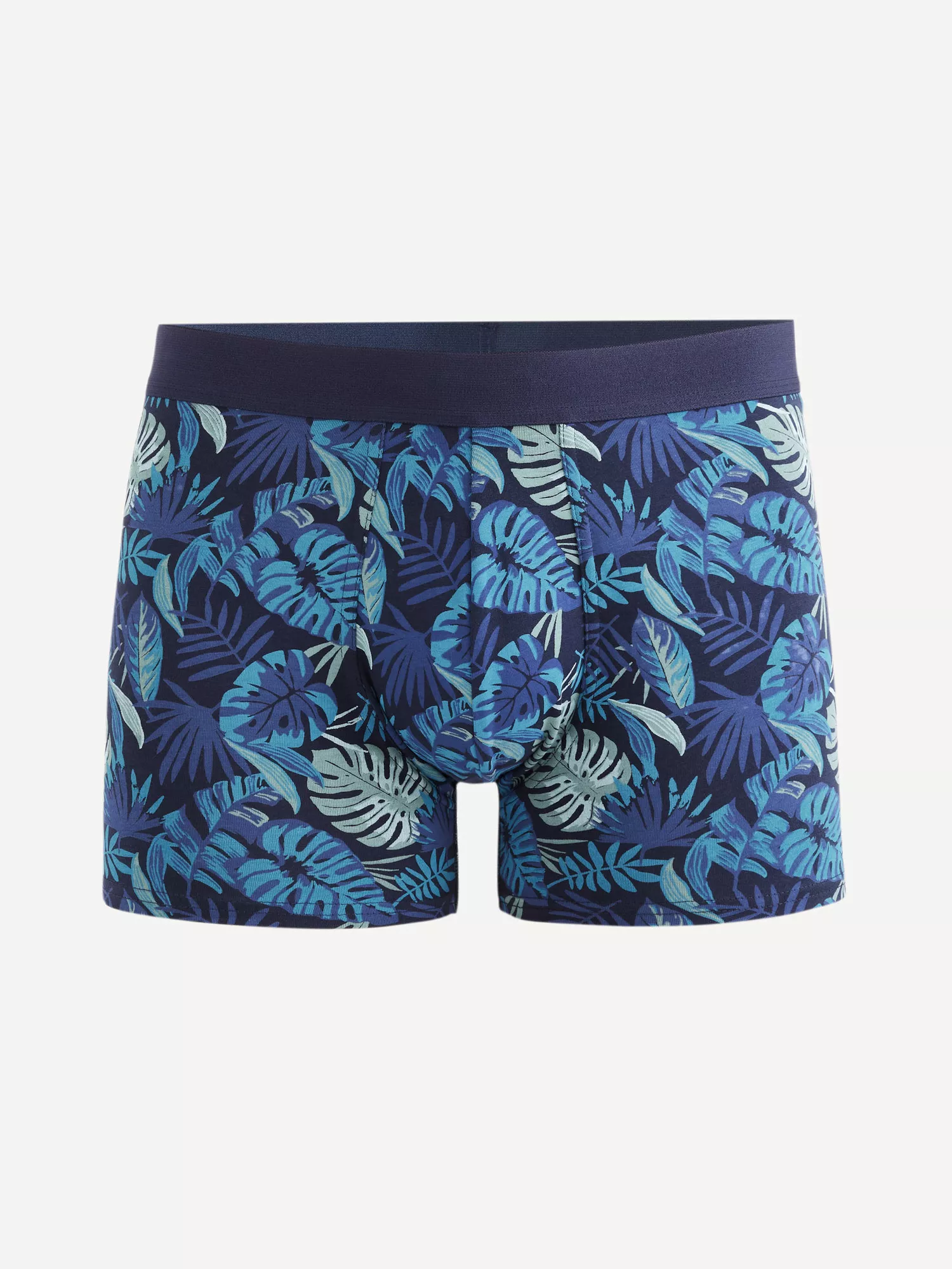 Boxerky Dipalm (1) Boxerky Dipalm (1)