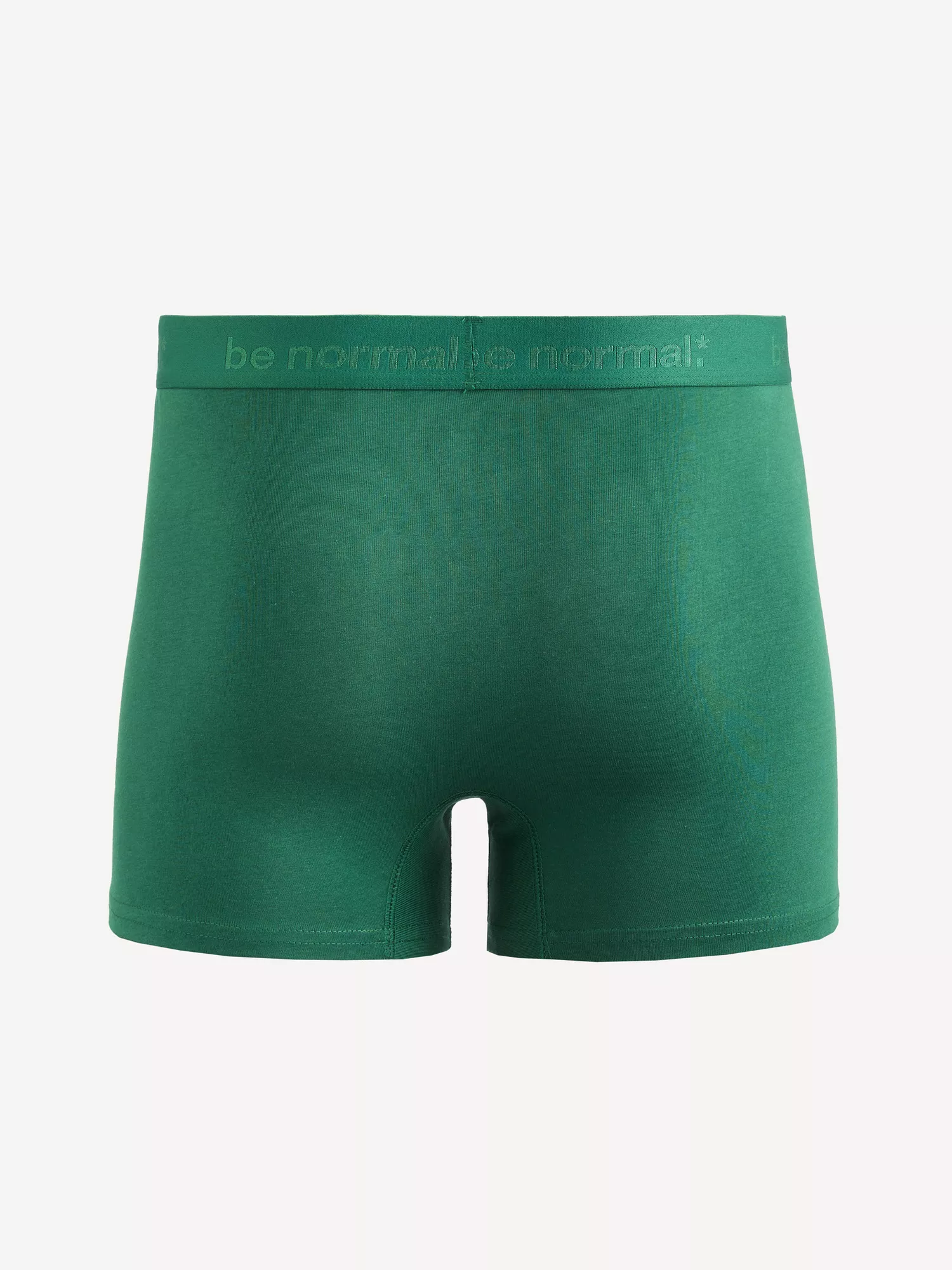 Bavlněné boxerky Binormal (2) Bavlněné boxerky Binormal (2)