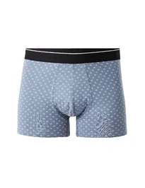 Boxerky Mitch