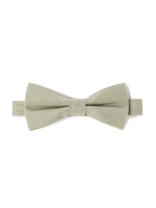 Motýlek Libowwed