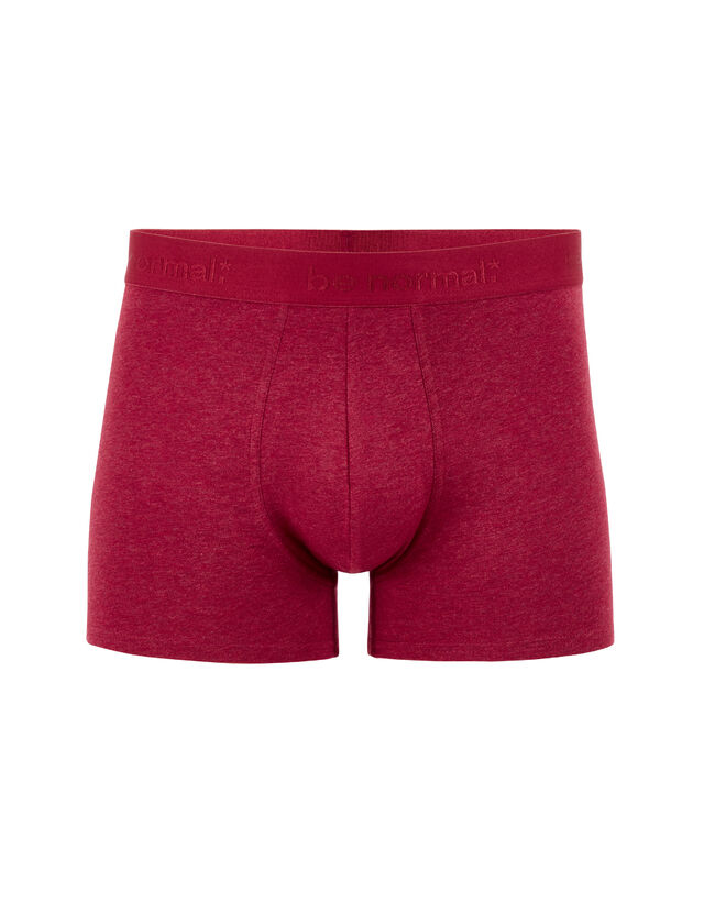 Bavlněné boxerky Binormal