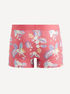 Boxerky Ditropicol (2)