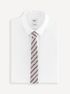 Hedvábná proužkovaná kravata Tiekrayon (2)